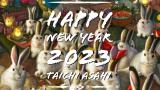 2023 Happy New Year