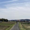 思い出せない、ではなくて